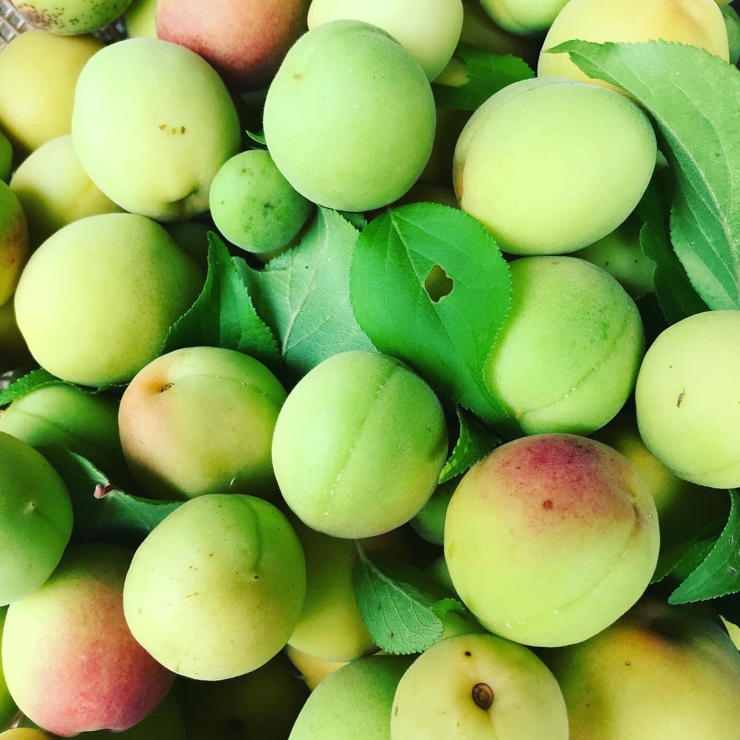 Art Direction Graphic Design